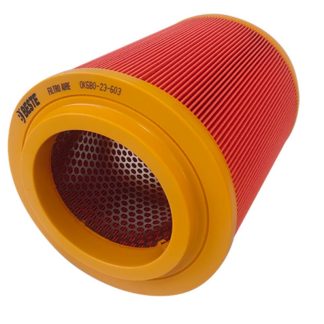 Filtro De Aire C18213