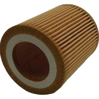 Filtro De Aceite Bmw X1-X3-X5-X6-Z4-125I-135I