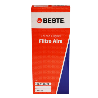 Filtro De Aire C36003 1444TT